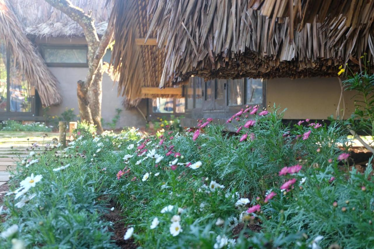 L'Amant Homestay Da Lat Zewnętrze zdjęcie