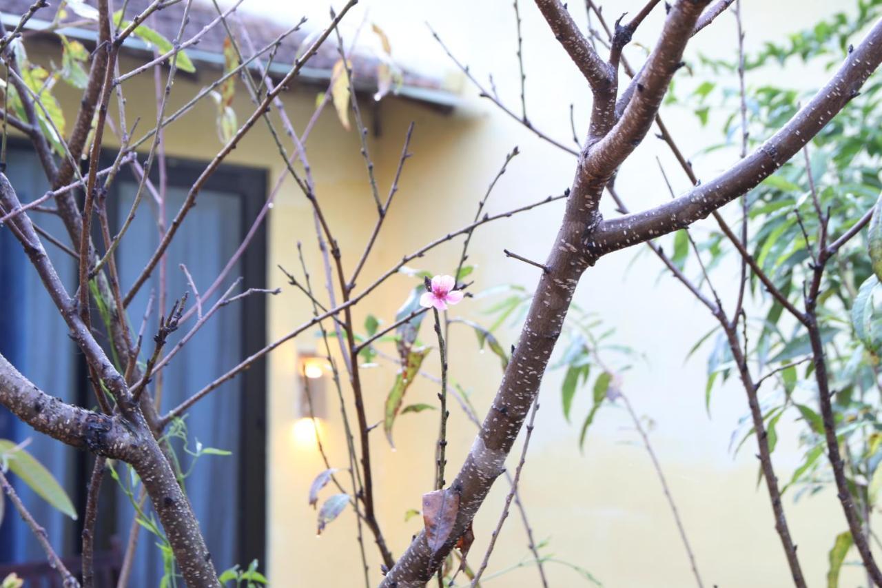 L'Amant Homestay Da Lat Zewnętrze zdjęcie
